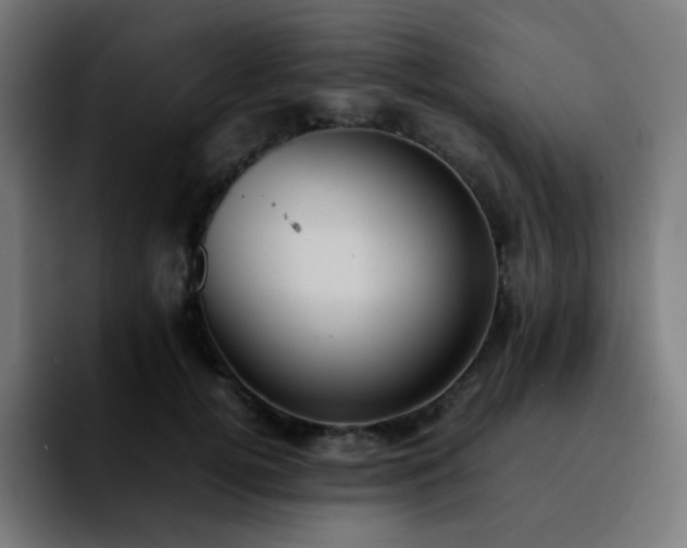 X0000092220752200709211007