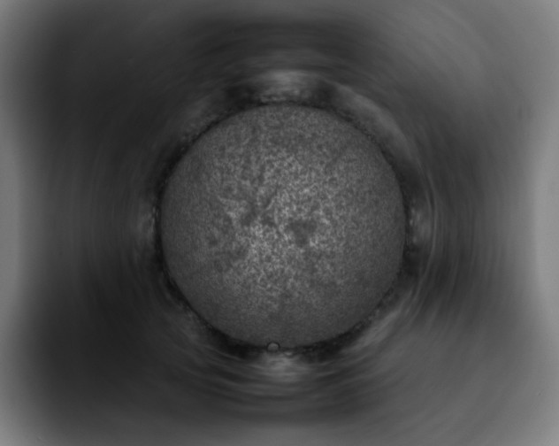 X0000092220753200709211007