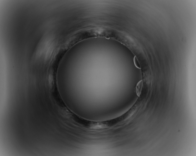 X0000092220754200709211007