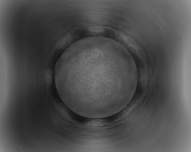 X0000092220758200709211007