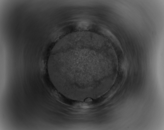 X0000092220759200709211007