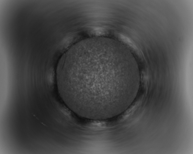 X0000092220760200709211007