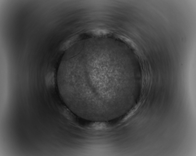 X0000092220762200709211007