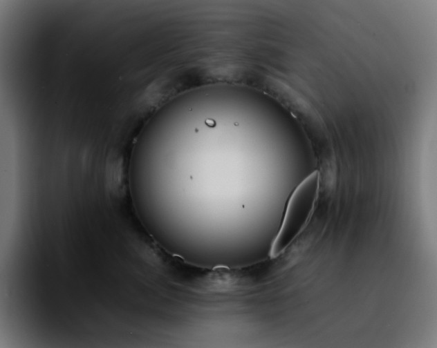 X0000092220764200709211007