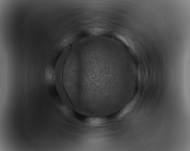 X0000092220766200709211007
