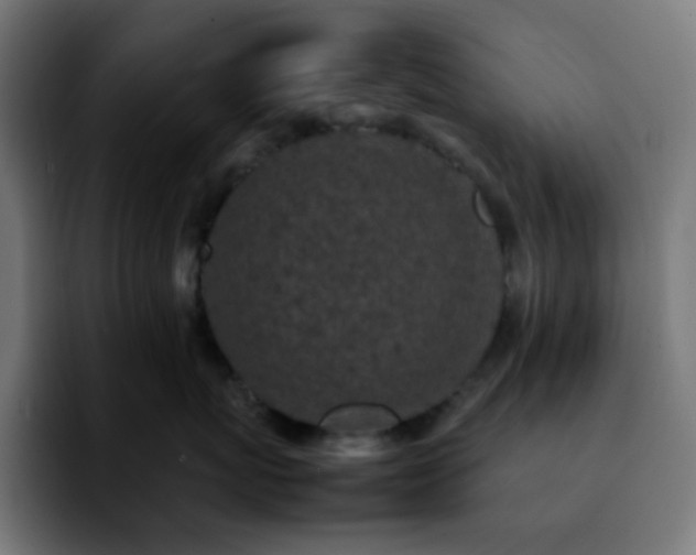 X0000092220767200709211007