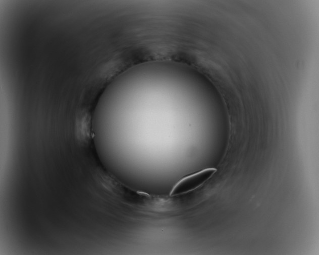 X0000092220768200709211007
