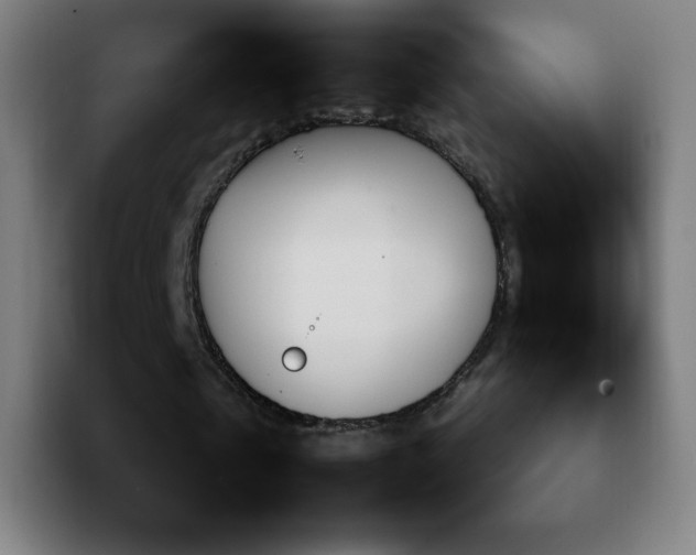 X0000092220769200709211007