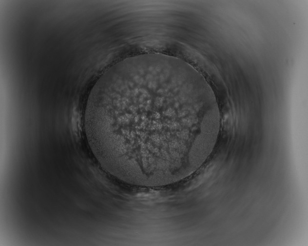 X0000092220772200709211007