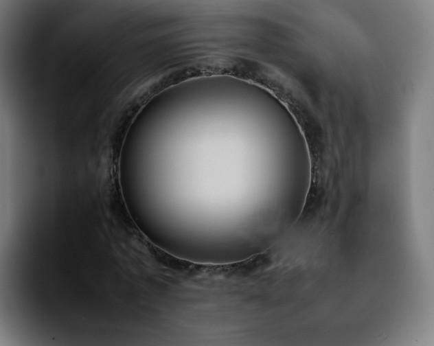 X0000092220773200709211007