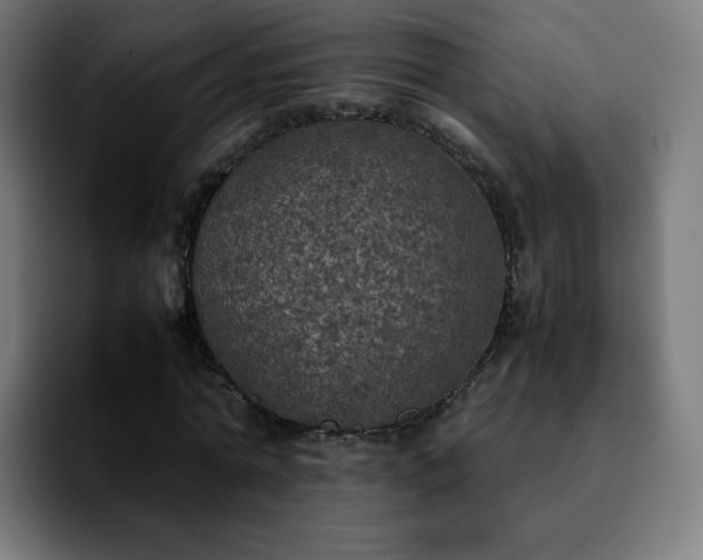 X0000092220774200709211007