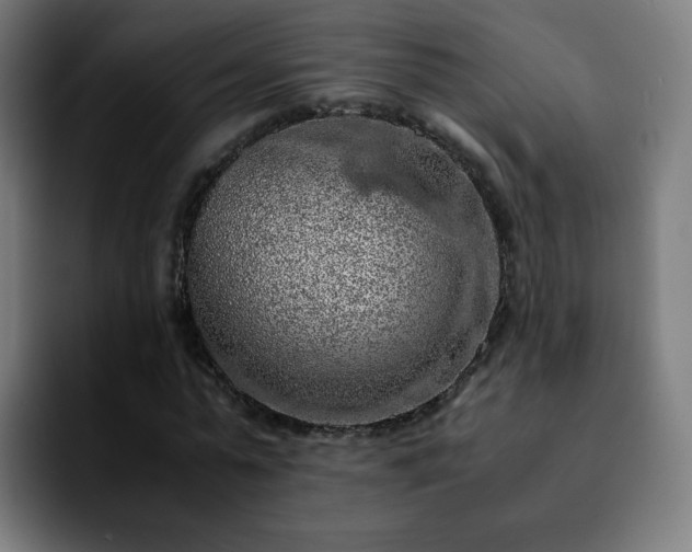 X0000092220775200709211007