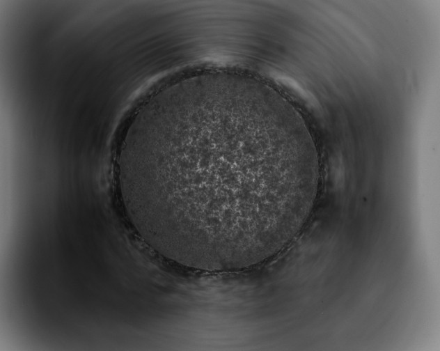 X0000092220776200709211007