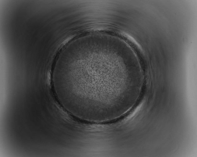 X0000092220777200709211007