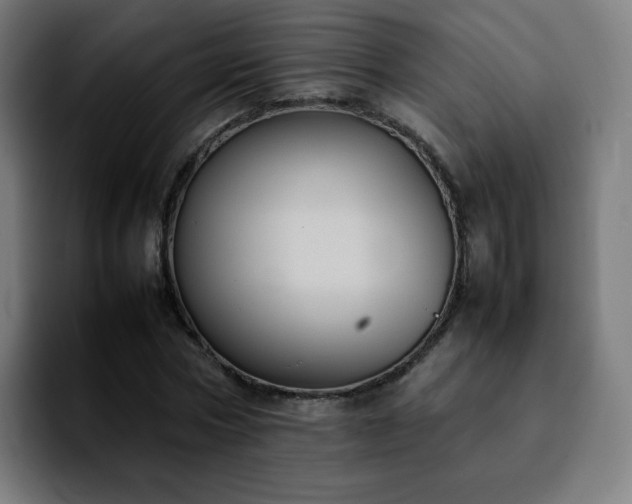 X0000092220778200709211007