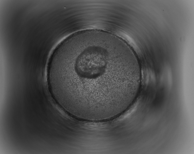 X0000092220780200709211007