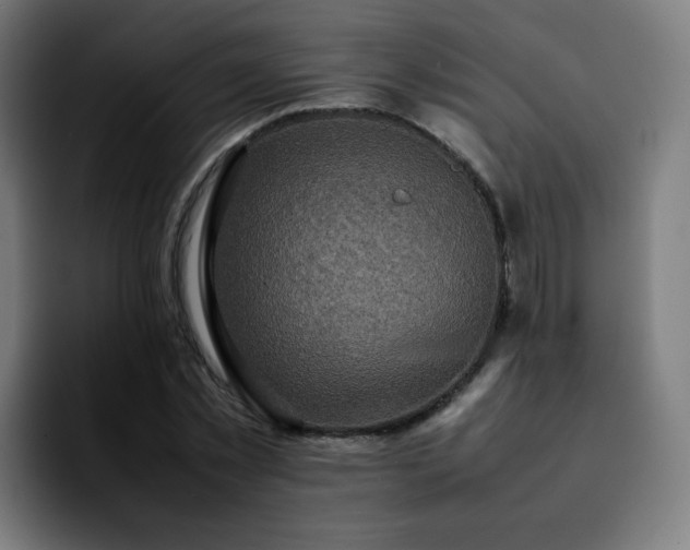 X0000092220781200709211007