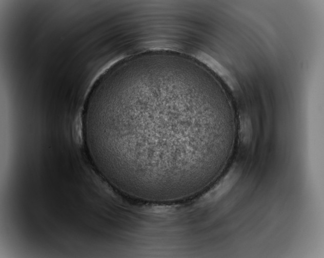 X0000092220782200709211007