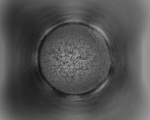 X0000092220783200709211007