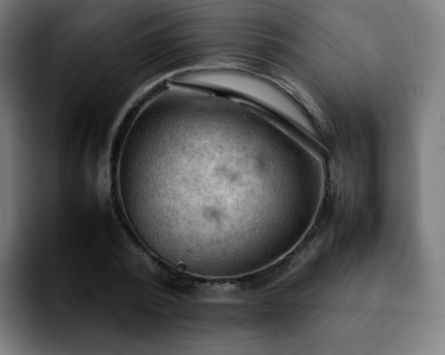 X0000092220784200709211007