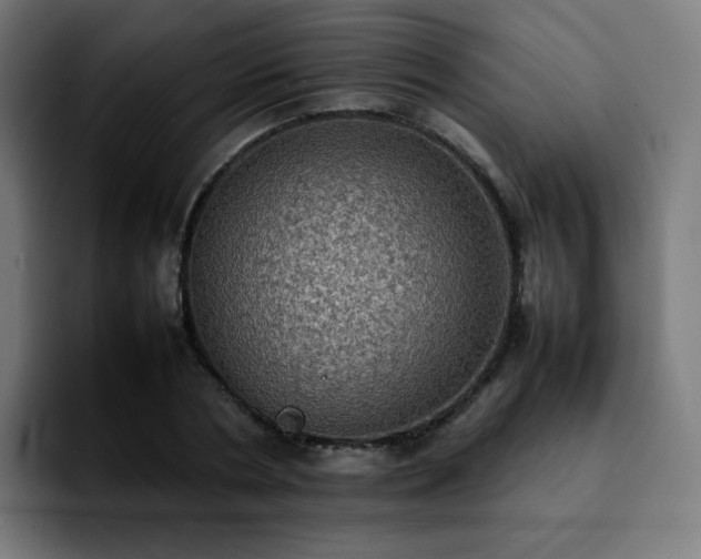 X0000092220786200709211007