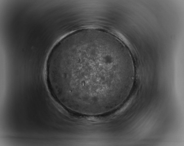 X0000092220787200709211007