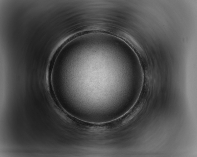 X0000092220788200709211007