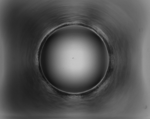 X0000092220789200709211007