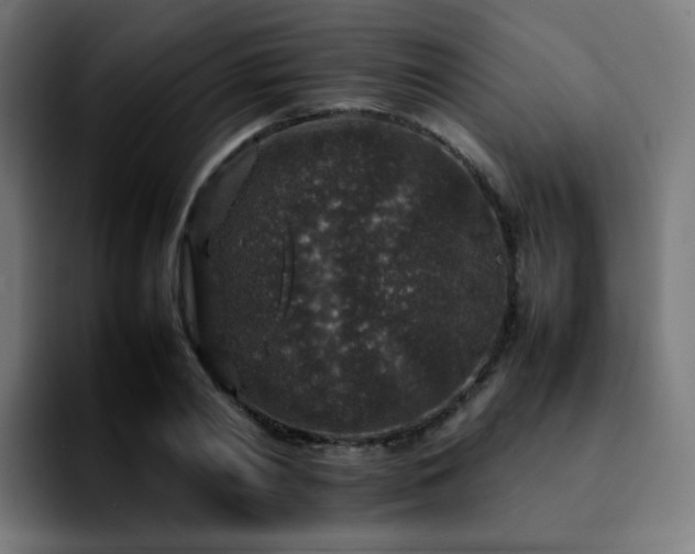 X0000092220790200709211007