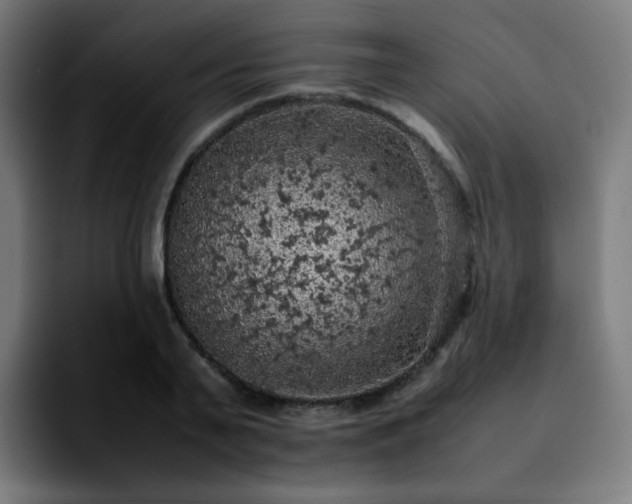 X0000092220791200709211007
