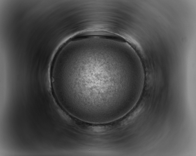 X0000092220792200709211007