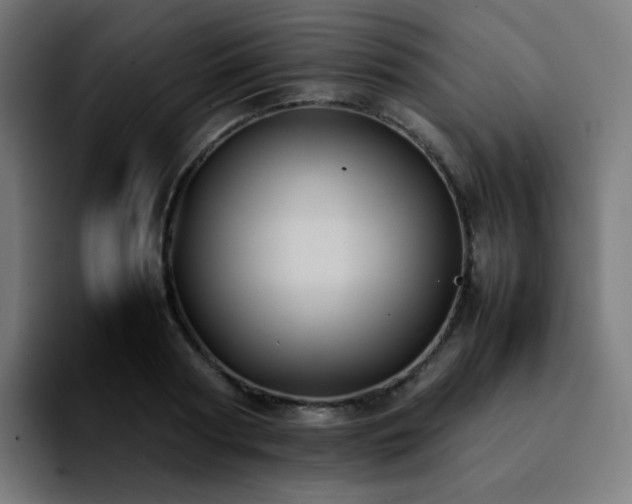 X0000092220794200709211007