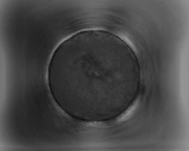 X0000092220797200709211007