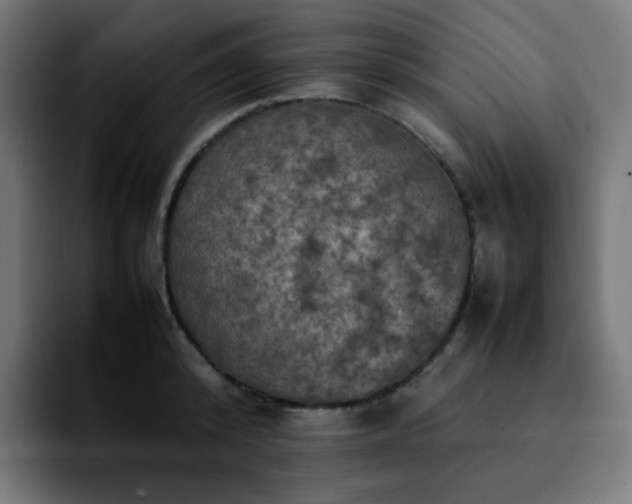 X0000092220800200709211007