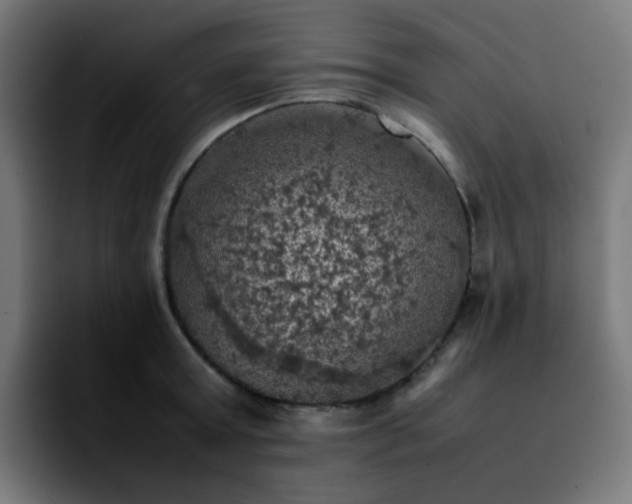 X0000092220803200709211007
