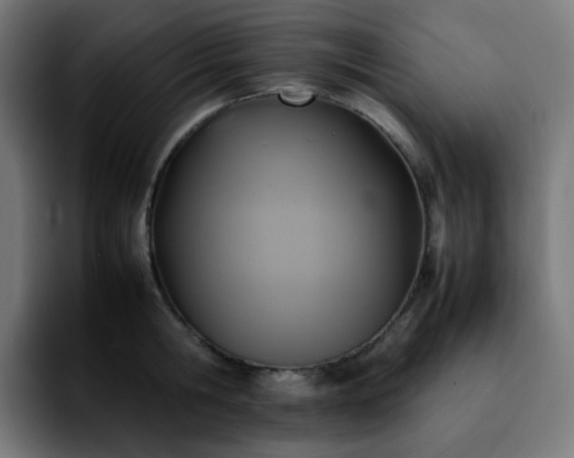 X0000092220806200709211006