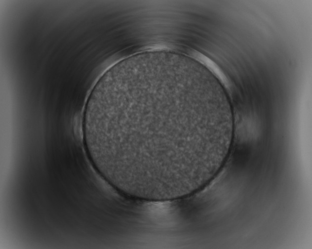 X0000092220810200709211006
