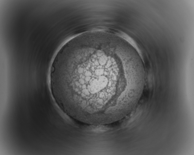 X0000092220811200709211006