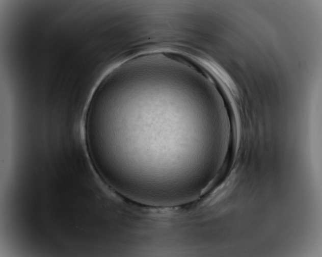 X0000092220813200709211006