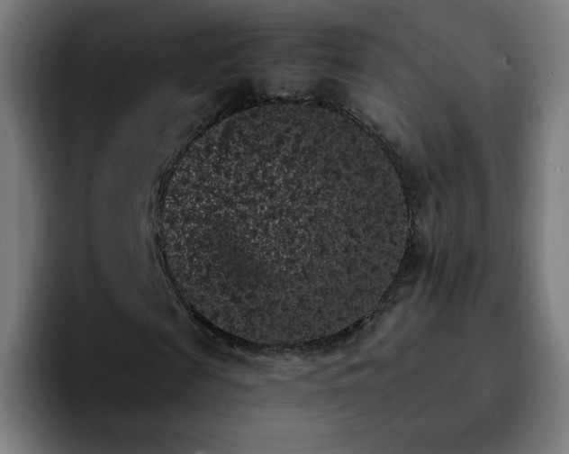X0000092220817200709211006