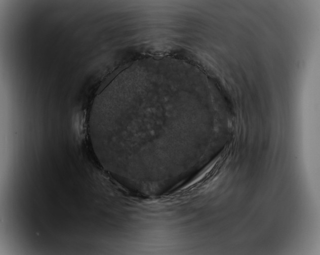 X0000092220818200709211006