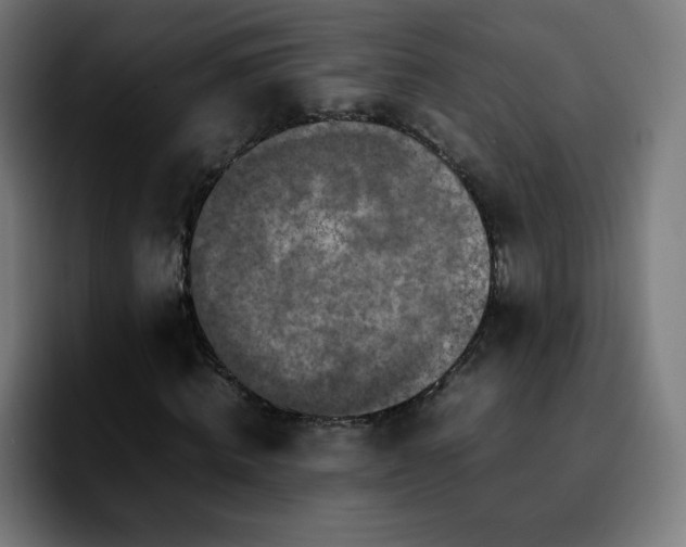 X0000092220820200709211006