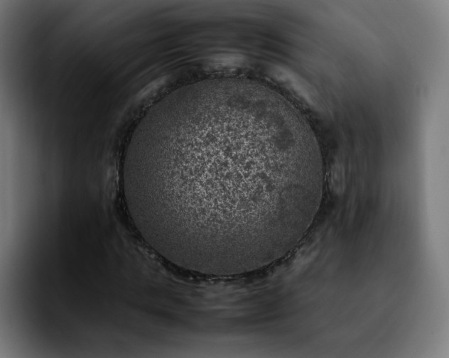 X0000092220821200709211006