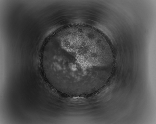X0000092220823200709211006