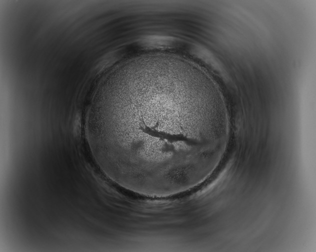 X0000092220825200709211006