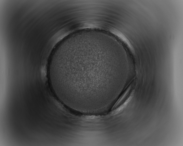 X0000092220826200709211006