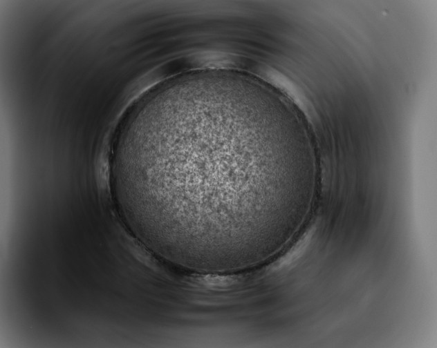X0000092220827200709211006