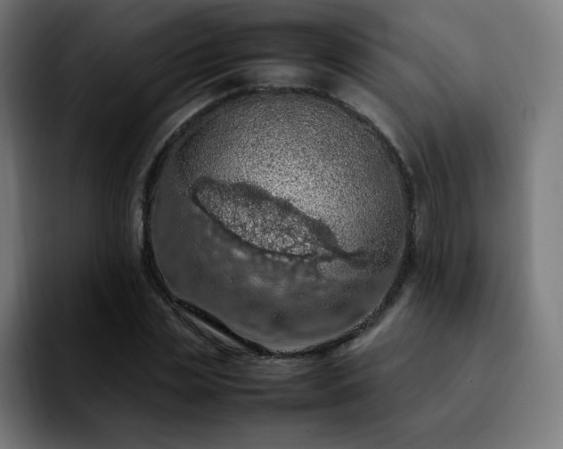 X0000092220829200709211006