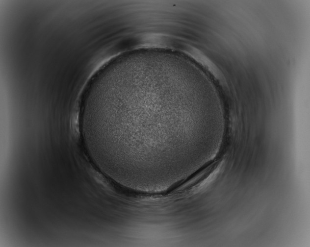 X0000092220830200709211006