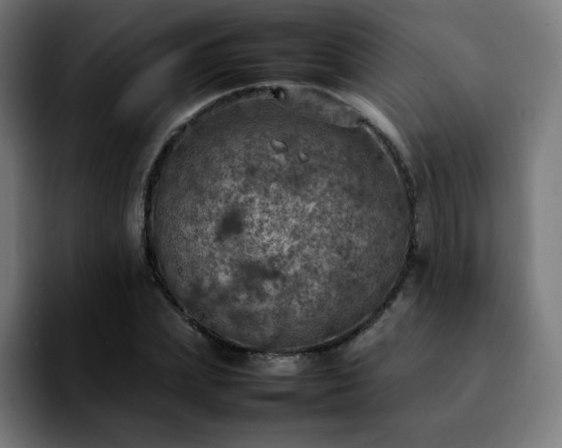 X0000092220831200709211006
